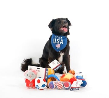 PETSMART_Team_USA_Bear